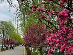 -南北湖风景区