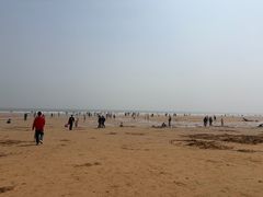 -日照海滨国家森林公园