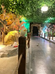 -酷嗒动物文化乐园(cutezoo西溪乐天城店)