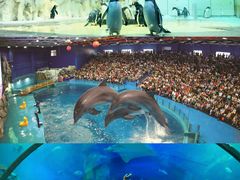 -威海华夏城景区