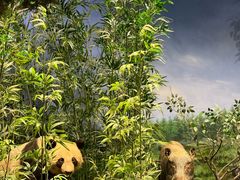 -陕西自然博物馆