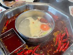 -蜀香居鲜毛肚火锅