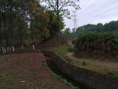 -桤木河湿地公园