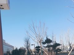 -回龙观体育文化公园