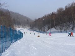 -亚布力新体委滑雪场