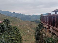 -紫鹊界梯田景区