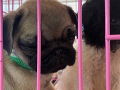 -远洋未来广场(育慧北路店)