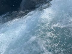 -增城大丰门漂流