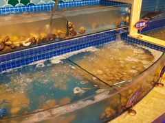 红海螺-乔哥铭洋海鲜自助(皇城恒隆广场店)