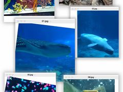 -珠海长隆海洋王国