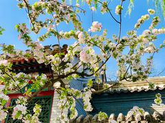 -海棠花溪(元大都城垣遗址公园)