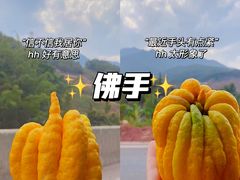 -曼阁市场水果批发市场