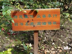 -寂照庵