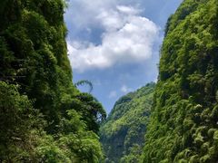 -阿依河景区