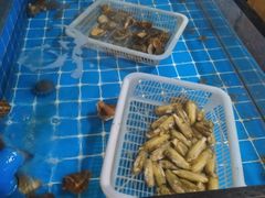 -锅老头海鲜铁锅炖