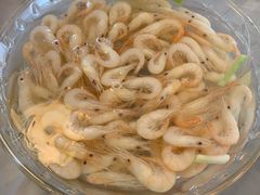 -呼吸森林·生态农庄农家乐私房菜