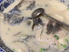 -全乐鱼馆·淳牌有机鱼直营店