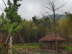 -兰亭风景区