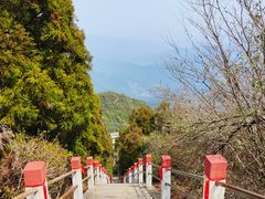 -江西阳明山国家森林公园