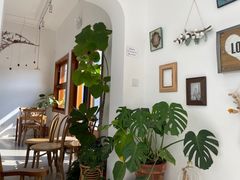 -AHAVA·Fang Baking Studio
