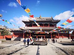 -御道口草原森林风景区