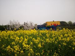 -同里国家湿地公园