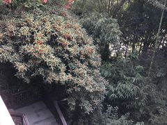 -凤城河风景区