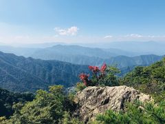 -王顺山国家森林公园