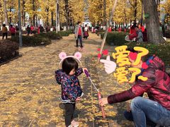 -百林公园-两江幸福广场