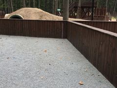 -黄海国家森林公园