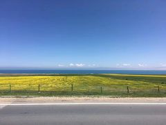 -青海湖国家重点风景名胜区