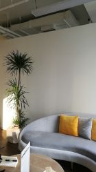 -美肌工坊皮肤管理