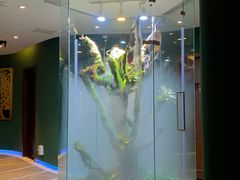 -泰悠谷养生SPA(世茂商业街店)