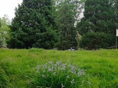 -元大都城垣遗址公园