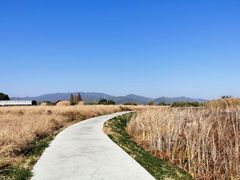 -良渚古城遗址公园