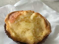 -芳叔(动漫星城店)