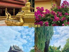 -西双版纳傣族园