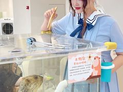 -怪兽屋·羊驼·猫咖·狗咖(俊华广场店)