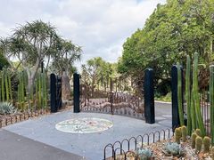 -墨尔本皇家植物园