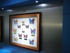 -上海昆虫博物馆