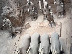-秦始皇帝陵博物院(兵马俑)