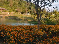 -南北湖风景区