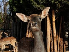-济南野生动物世界