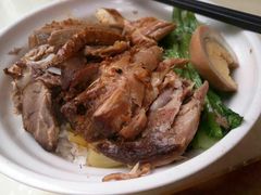 -潮双喜正宗澄海狮头鹅华利路店