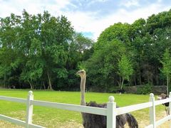 -国际非物质文化遗产博览园