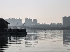 -蠡湖大桥公园