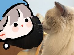 -有喵·猫咖·狗咖·30几只猫10只小狗(岗厦店)