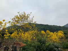 -广州市石门国家森林公园