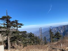 -朱雀国家森林公园