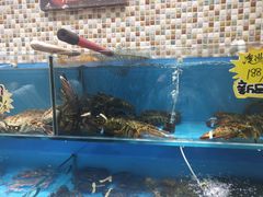 -港畔赶海蒸汽海鲜烧烤自助(仙螺岛店)